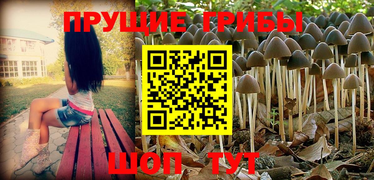 Благодарный  как найти наркотики  Вход с VPN  Галлюциногенные грибы Magic Shrooms 
