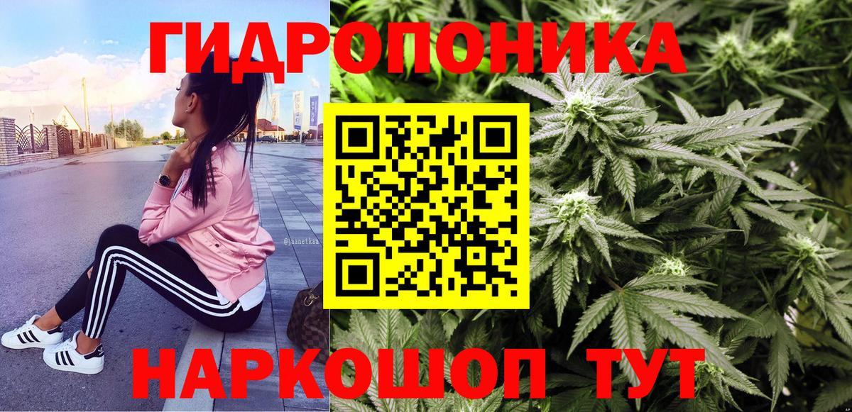 Бошки Шишки индика  Бошки Шишки White Widow  Каннабис SATIVA & INDICA  Вход с VPN  Благодарный  Конопля семена 